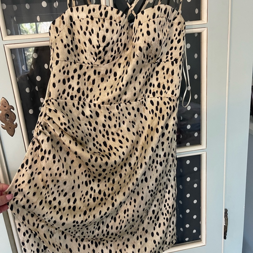 Zara Leopard Print Strapless Dress NWT